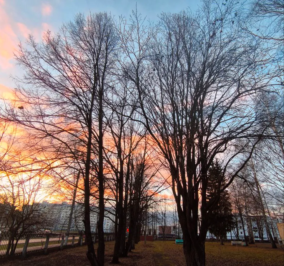 28 ноября в Нижнекамске ожидается умеренно прохладная погода