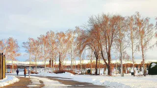 В Челябинскую область приходит теплый атмосферный фронт