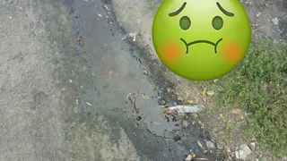 Ноги прилипают к асфальту: на улице Советской армии зловонная жидкость течет из-под мусорных контейнеров