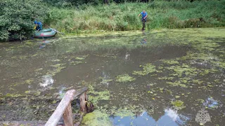 В Селивановском районе на реке Мотра утонул 65-летний мужчина