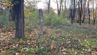 В Рязани выставили на торги участок площадью 0,51 га за 34.2 млн рублей