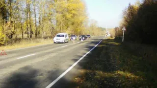 В аварии под Выгоничами пострадали девушка и подросток