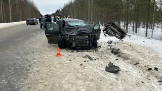 В Коми случилась страшная трагедия на дороге