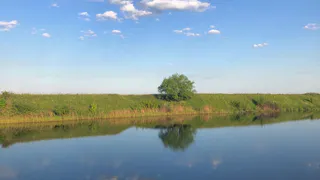 Будет жарко: погода в Рязани на выходные