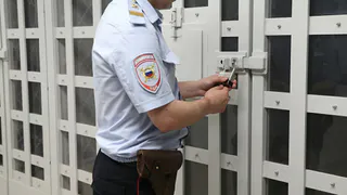 Нетрезвый житель Владимира избил полицейских прямо в отделении