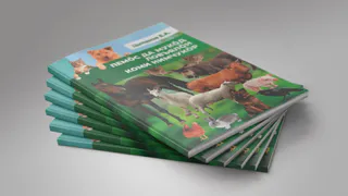 В Коми выпустили уникальный словарь имён для питомцев