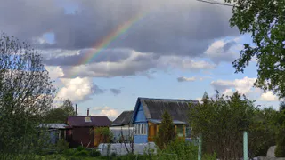 «Настрадаемся от аномальной жары»: Вильфанд рассказал, когда адская жара придет в Россию