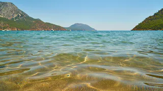 «Вода ледяная, зеленая и с медузами»: туристы рассказали, что творится на Черном море