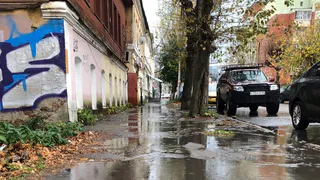 Штормовое предупреждение: МЧС предупреждает рязанцев о сильном ветре