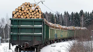 Из Коми лес будут вывозить за границу еще быстрее