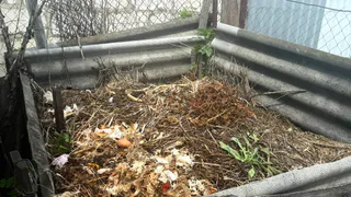 3 ложки на кучу — даже самые толстые ветви начнут гнить: компост легко и просто — земля будет как хлеб