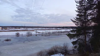 "Коми дорожная компания" нарушила экологическое законодательство при уборке моста