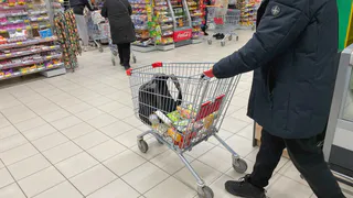 Взяла 5 конфет в Пятерочке, весы на кассе показали 320 грамм. Вот как нас дурят в магазинах с сильным обвесом