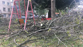 Детям негде играть: в Октябрьском городке детская площадка завалена деревьями