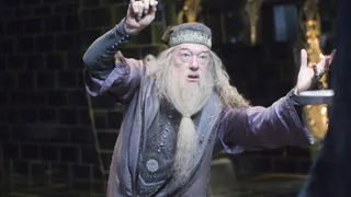 Пока рязанцы ждут премьеру фильма "Фантастические твари и места их обитания", бродячие музыканты разыграли битву двух волшебников