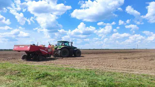 Площадь под картофель в Гусь-Хрустальном районе увеличили до 500 гектаров