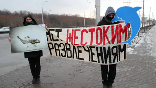 Рязанские зоозащитники против передвижного зоопарка
