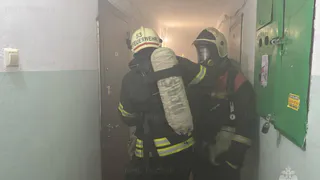 Во Владимире пожарные ликвидировали возгорание в многоэтажке