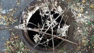 Открытый канализационный люк на улице Зубковой прикрыли ветками вместо крышки