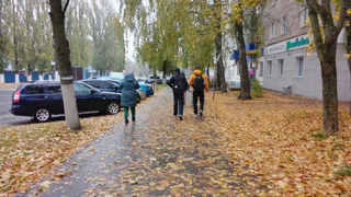 Осенняя погодная карусель ожидается в Чебоксарах: от потепления к похолоданию и дождям