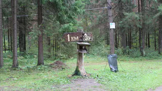 Весенняя охота: Минприроды Рязани информирует о сроках