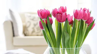 Всего лишь одна таблетка в воду продлит жизнь букета на 30 дней: есть у каждого в аптечке