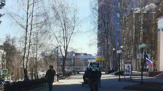 Треть жителей Коми задумывается о смене профессии, грезя об IT