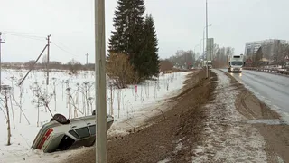 Собака на самовыгуле спровоцировала серьезное ДТП в Коми