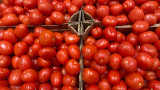 Проверяю 6 старинных способов хранения овощей без холодильника. Только 3 метода наших бабушек реально работают