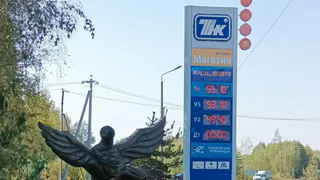 В Рязанской области на АЗС «Роснефть» не продают дизельное топливо