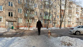 В Зеленодольском районе живодеры лишили жизни домашнего пса