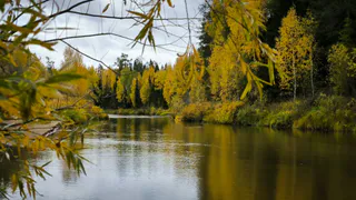 "Октябрь будет как страшный сон". Синоптики обновили прогноз на середину осени