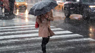 Неделя в Коми будет дождливой и снежной