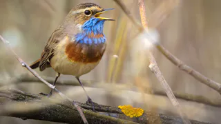 Синоптики дали прогноз на Пасху в Нижнекамске: будет ветрено, но без осадков