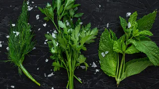 В октябре рассыпьте семена укропа по огороду: чудо-рецепт опытных дачников