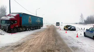В Скопинском районе водитель иномарки врезался в фуру