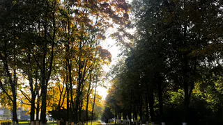 Похолодание близко: какая погода ждет рязанцев на этой неделе