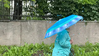 МЧС предупредило о грозе и сильном ветре в 5 районах Рязанской области 26 августа