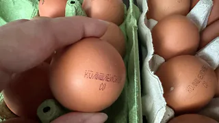 Новые птичники АО «Окское» позволят создать 200 рабочих мест в Рязанской области 