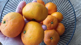Хитрые продавцы выбирают мандарины себе домой только так: запоминайте эти 3 приема