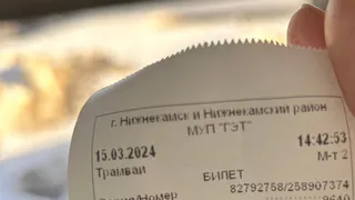 На выборах дали браслеты, сказали проезд в общественном транспорте бесплатный