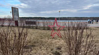 Брянские ветераны Великой Отечественной войны получат выплату к 9 Мая 