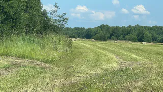 Даже курьеры столько не получают: люди нашли в полях Башкирии большое золотое дно