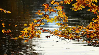 За 2023 год В Пензенской области очистили более 250 километров водных объектов