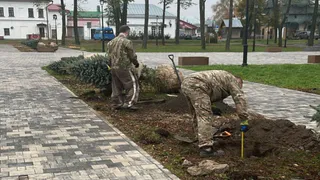 Два сквера Суздаля получат 36 новых деревьев при участии местных жителей