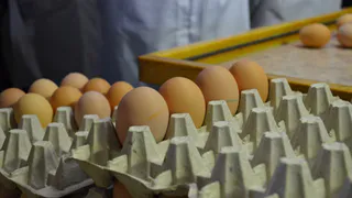 На "Контрольной закупке" рассказали какие яйца самые крутые в России