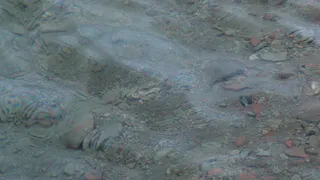 Тело утопленника извлекли из реки Урал магнитогорские спасатели