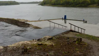 Все ради пристани: администрация назвала причины вырубки деревьев в Лесопарке