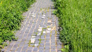 Жители Суздаля выразили недовольство состоянием пешеходных зон