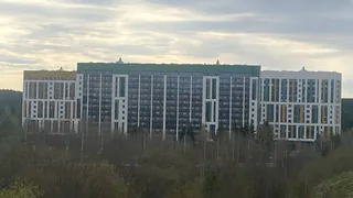 19 мая в Коми преподносит сюрпризы: на северо-востоке - снег, на юго-западе — весенний дождь